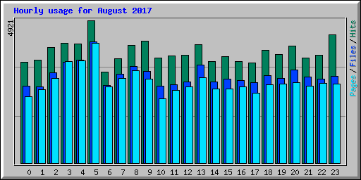 Hourly usage for August 2017